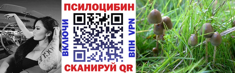 Галлюциногенные грибы Cubensis  гидра онион  Тейково 