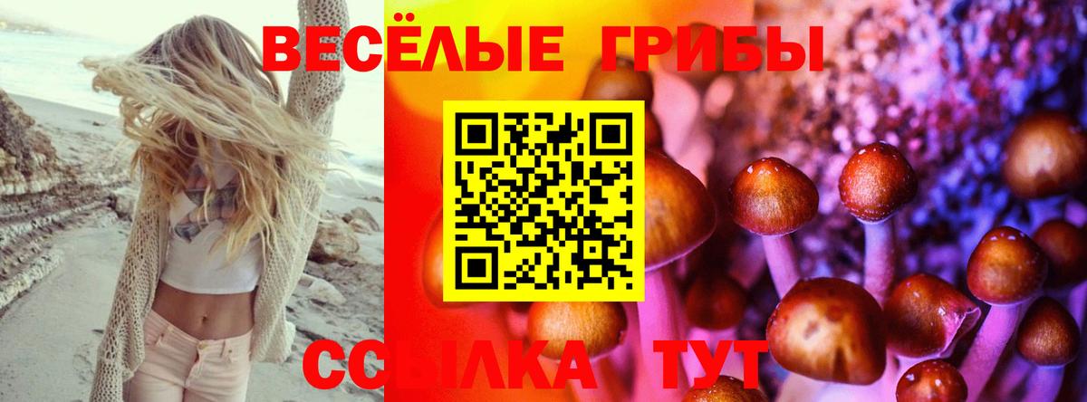 Галлюциногенные грибы прущие грибы  купить наркоту  Вход с VPN  Тейково  Псилоцибиновые грибы мухоморы 