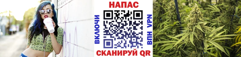 Каннабис конопля  где купить наркоту  Тейково 
